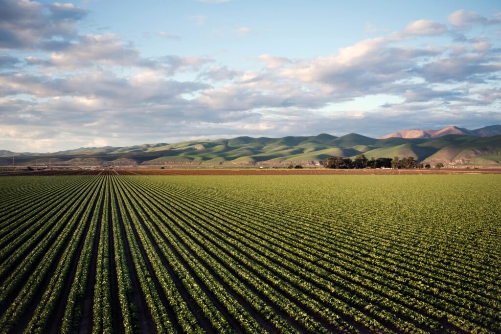 pexels-photo-974314-974314 Aerial view of vast farmland with rows of crops and rolling hills in Santa Maria, CA.